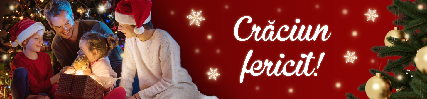 VP_25XMS_1455x340_01_RO